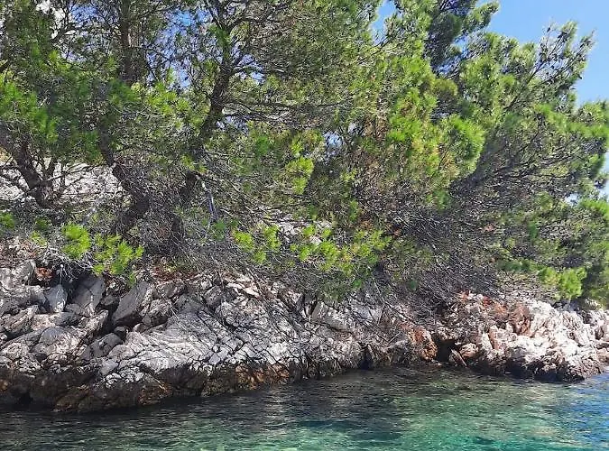 Olivia Starigrad Paklenica
