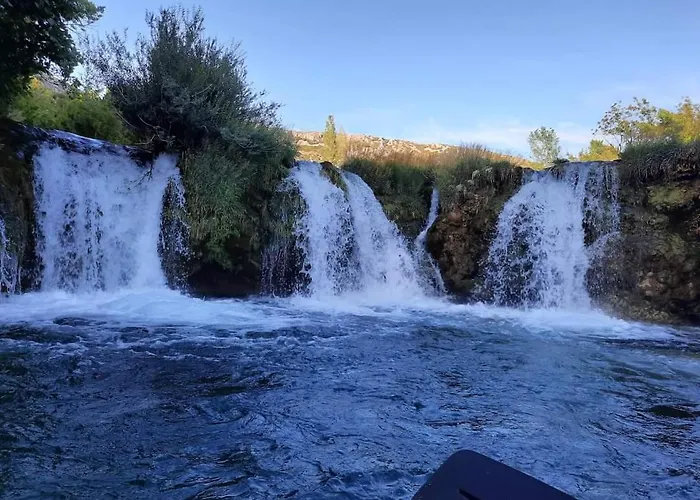 Olivia 스타리그라드 파클레니차