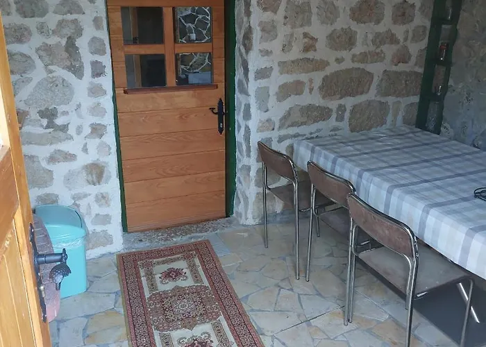 Olivia 스타리그라드 파클레니차