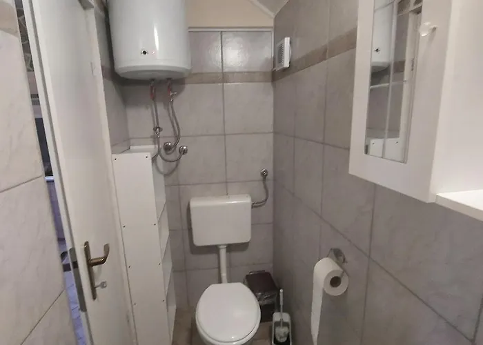 Olivia * 스타리그라드 파클레니차