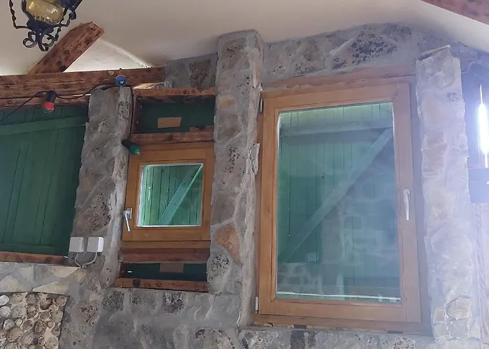 Olivia 스타리그라드 파클레니차